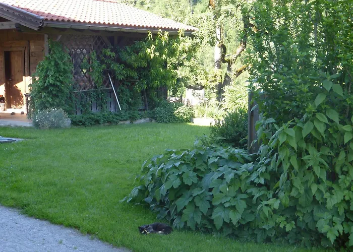 Schwaighof Фермерский дом