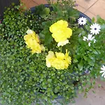 Schwaighof *