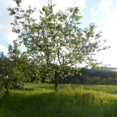 Schwaighof Oberau