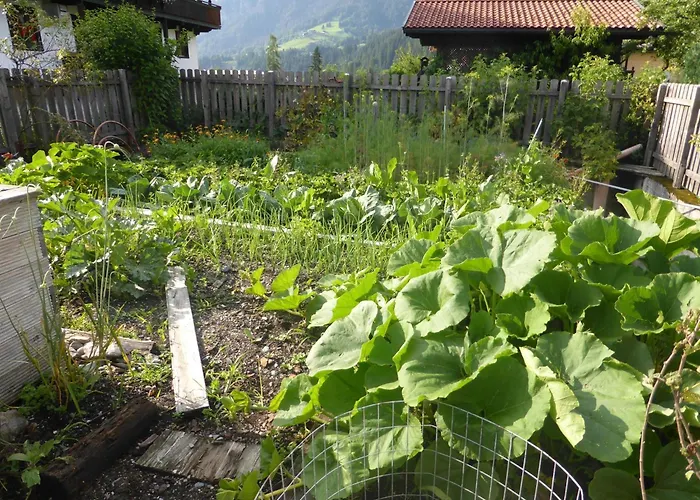 Agroturismo Schwaighof